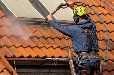 Démoussage et hydrofuge de toiture à Frasseto